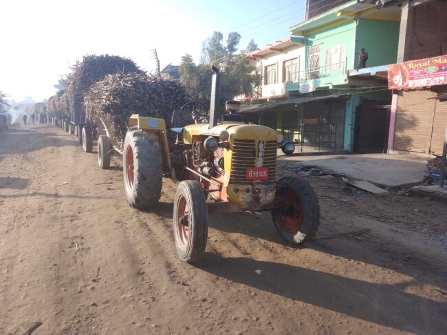 कञ्चनपुरका किसानलाई उखु बेच्ने चटारो ,बिचौलिया कसरी ल्याउछन भारतिय ट्याक्टर ?