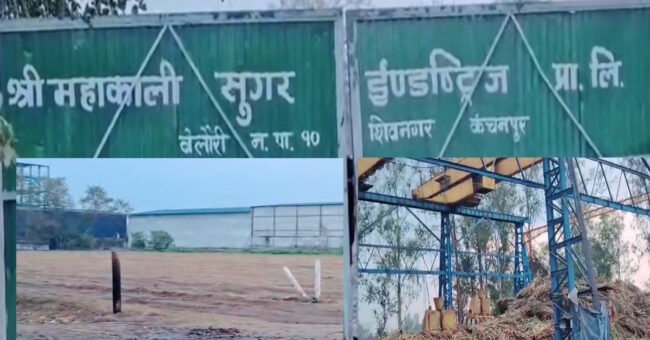 ‘नो केन’ हुँदा बन्द हुने अवस्थामा महाकाली सुगर मिल, दैनिक २० लाख बढि मिलको फजुल खर्च
