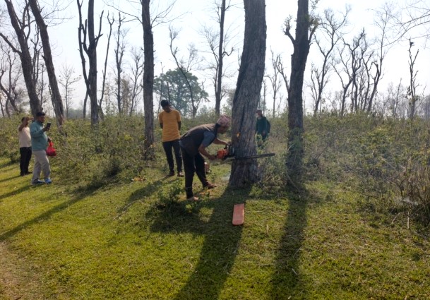 सुक्खा बन्दरगाह निर्माणस्थलबाट टाँचा लगाइएका १०९ रूख चोरी