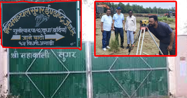 बर्दियामा महाकाली सुगर मिलको शाखा विस्तार